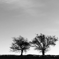 Thumbnail for the Jon Allen - A Heightened Sense of Everything link, provided by host site