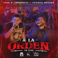 Thumbnail for the Luis R Conriquez - A La Orden (En Vivo) link, provided by host site