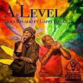 Thumbnail for the Ziggi Recado - A Level link, provided by host site
