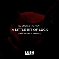 Thumbnail for the DJ Luck - A Little Bit of Luck (BK298 Remix) link, provided by host site