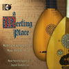 Thumbnail for the Munir Beken - A Meeting Place: Medieval & Renaissance Music for Lute & Ud link, provided by host site