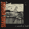 Thumbnail for the Joshua Davis - A Miracle of Birds link, provided by host site