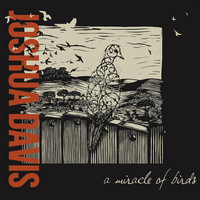 Thumbnail for the Joshua Davis - A Miracle of Birds link, provided by host site