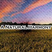 Thumbnail for the The Rest - A Natural Harmony link, provided by host site