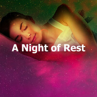 Thumbnail for the Sleep Music System - A Night of Rest link, provided by host site