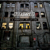 Thumbnail for the Mesh - A Perfect Solution link, provided by host site