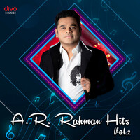 Thumbnail for the A.R. Rahman - A.R. Rahman Hits Vol.2 link, provided by host site