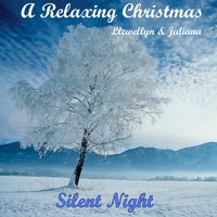 Thumbnail for the Llewellyn - A Relaxing Christmas - Silent Night link, provided by host site