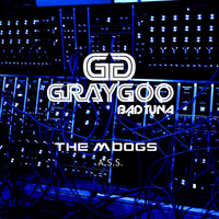 Thumbnail for the The Moogs - A.S.S link, provided by host site