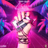 Thumbnail for the Lush - A Shared Moment (Vebby Remix) link, provided by host site