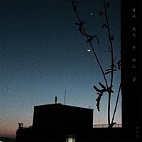 Thumbnail for the Cactus - A Star link, provided by host site