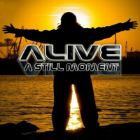 Thumbnail for the ALIVE - A Still Moment link, provided by host site