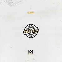 Thumbnail for the Big K.R.I.T. - A Style Not Quite Free link, provided by host site
