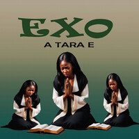 Thumbnail for the EXO - A Tara E link, provided by host site