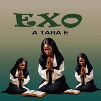 Thumbnail for the EXO - A Tara E link, provided by host site