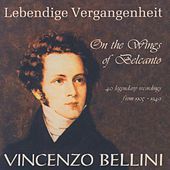 Thumbnail for the Alessandro Bonci - A te, o cara (I Puritani) link, provided by host site