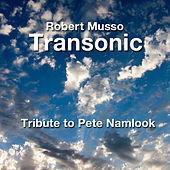 Thumbnail for the Transonic - A Tribute to Pete Namlook link, provided by host site