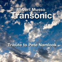 Thumbnail for the Robert Musso - A Tribute to Pete Namlook - Live link, provided by host site