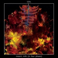 Thumbnail for the Coil - A White Rainbow link, provided by host site