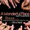 Thumbnail for the Blaze - A Wonderful Place (Sean McCabe Remix) link, provided by host site