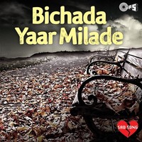 Thumbnail for the Sadhana Sargam - Aa Jaana Tere Bin (From "Bol Radha Bol") link, provided by host site