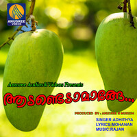 Thumbnail for the Aditya Iyengar - Aadendada Mange link, provided by host site
