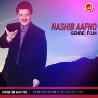 Thumbnail for the Udit Narayan - Aafu Bhanda Pyaro link, provided by host site