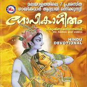 Thumbnail for the Ambili - Aalilayil link, provided by host site