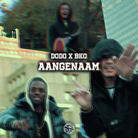 Thumbnail for the Dodo - Aangenaam link, provided by host site