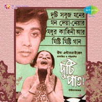 Thumbnail for the Bitu Samajpati - Aari Bhaab Aari Bhaab link, provided by host site