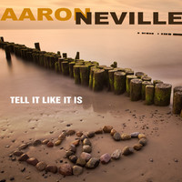 Thumbnail for the Aaron Neville - Aaron Neville link, provided by host site