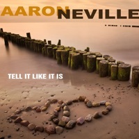 Thumbnail for the Aaron Neville - Aaron Neville link, provided by host site