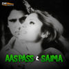 Thumbnail for the Nisar Bazmi - Aas Pass / Saima link, provided by host site