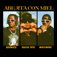 Thumbnail for the Mole - Abejita Con Miel link, provided by host site