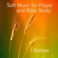 Thumbnail for the The O'Neill Brothers Group - Abide with Me link, provided by host site