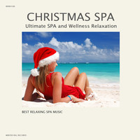 Thumbnail for the Classical Christmas Music Songs - Abide with Me link, provided by host site
