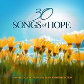 Thumbnail for the David Davidson - Abide With Me (Hymns Of Hope Album Version) link, provided by host site