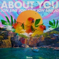 Thumbnail for the Jon Sine - About You link, provided by host site