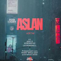 Thumbnail for the Aslan - ABOW link, provided by host site