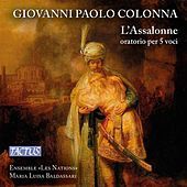 Thumbnail for the Laura Antonaz - Absalone (L'Assalone): Recitative: Ohime, chi mi trattiene (Assalonne, Ioabbe, Testo, Consigliere, Davide) link, provided by host site