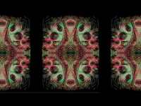 Thumbnail for the The Joy Formidable - Absence link, provided by host site