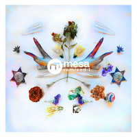Thumbnail for the Brian Mayhall - Abundance - DoubtingThomas Remix link, provided by host site
