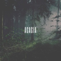 Thumbnail for the Zaini - Acacia link, provided by host site