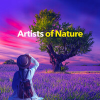 Thumbnail for the Nature Sounds Artists - Acceleration Regrettable link, provided by host site