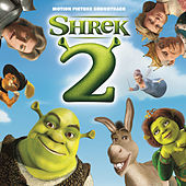 Thumbnail for the Counting Crows - Accidentally In Love link, provided by host site
