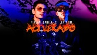 Thumbnail for the Virlán García - Acelerado (Letra/Lyrics) link, provided by host site