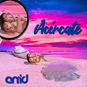 Thumbnail for the The Enid - Acércate link, provided by host site