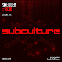 Image of Sneijder linking to their artist page due to link from them being at the top of the main table on this page