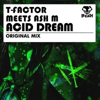 Thumbnail for the T-Factor - Acid Dream link, provided by host site