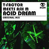 Thumbnail for the T-Factor - Acid Dream (T-Factor Meets Ash M) link, provided by host site